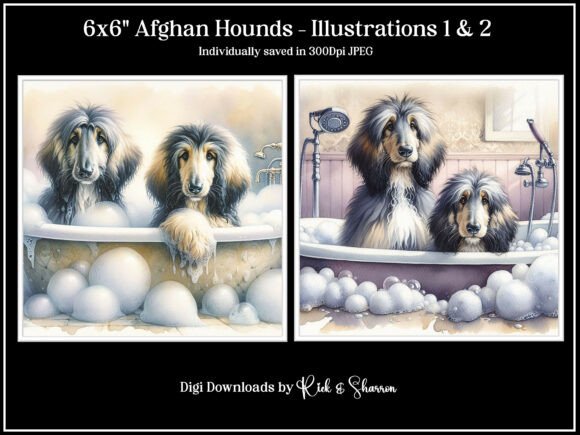 Elegant Afghan Hound Illustrations for Modern Design